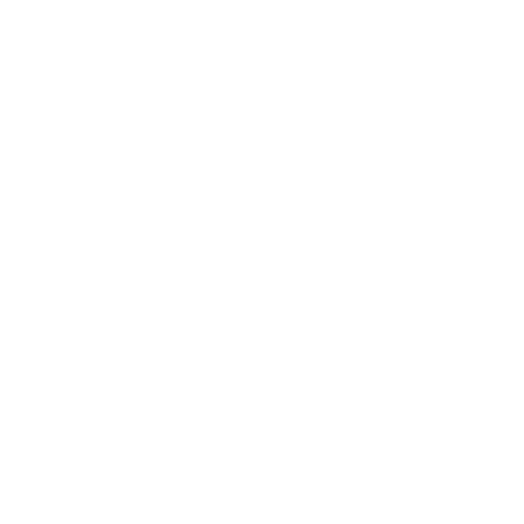 White EV Logo